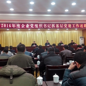 公司领导参加全市2016年度企业党组织书记抓基层 党建工作述职大会