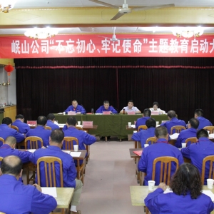 公司召开“不忘初心、牢记使命”主题教育启动大会